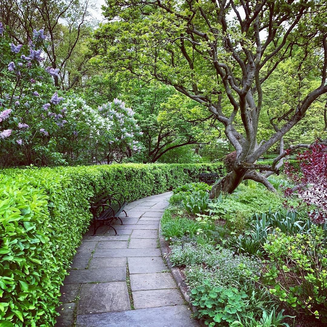 Formal garden beds and fountain in the Conservatory Garden of Central Park in bloom